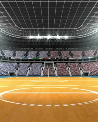 Michigan State Spartans vs. Arkansas Razorbacks