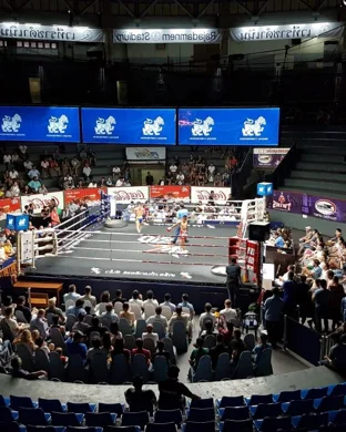 Night of Knockouts XLIV