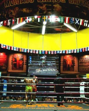 Pulse Boxing