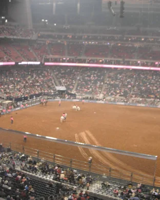 Professional Championship Bull Riders