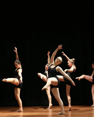 Raedenes Dancin Stars: Company Extravaganza